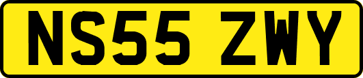 NS55ZWY