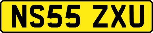 NS55ZXU