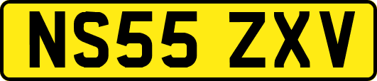 NS55ZXV