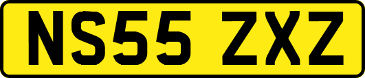 NS55ZXZ
