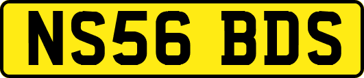NS56BDS