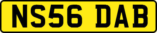 NS56DAB