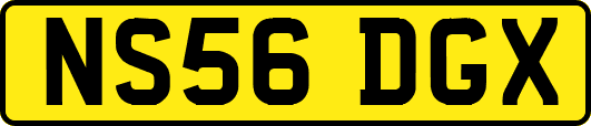 NS56DGX