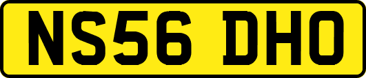 NS56DHO