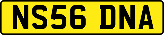 NS56DNA