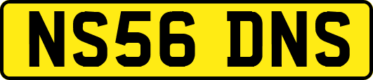 NS56DNS