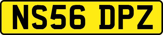 NS56DPZ