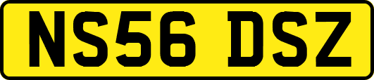 NS56DSZ