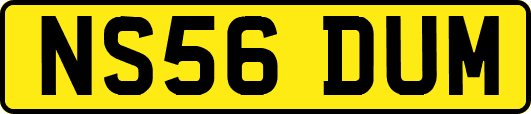 NS56DUM