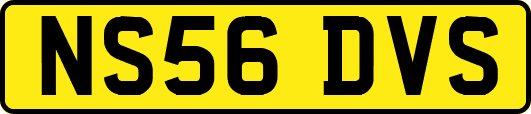 NS56DVS