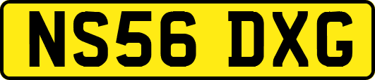 NS56DXG