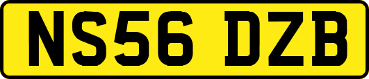 NS56DZB