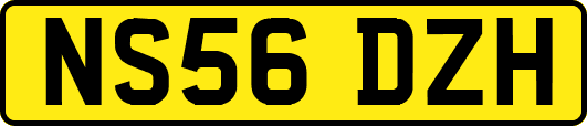 NS56DZH