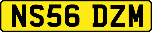 NS56DZM