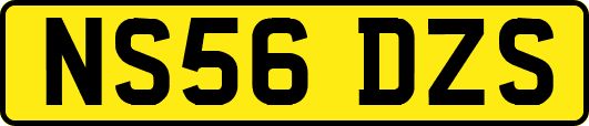 NS56DZS