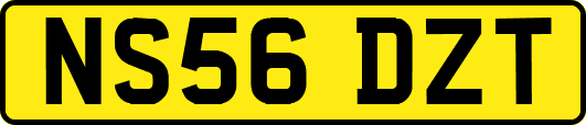 NS56DZT