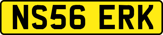 NS56ERK