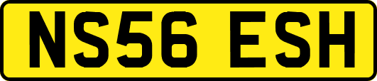 NS56ESH