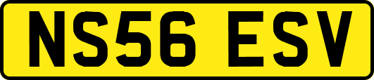 NS56ESV