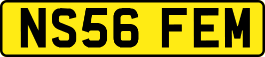 NS56FEM