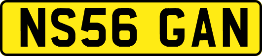 NS56GAN