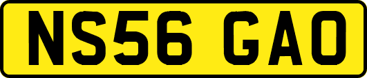 NS56GAO