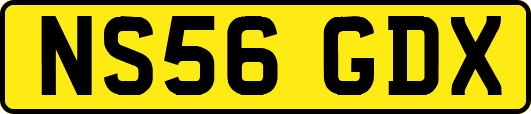 NS56GDX