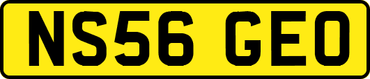 NS56GEO