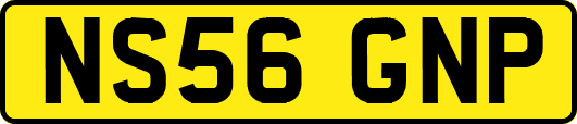 NS56GNP