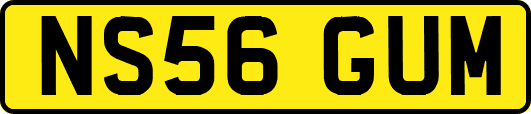NS56GUM