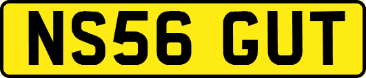 NS56GUT