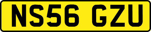 NS56GZU