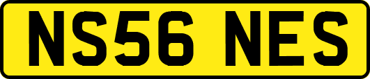 NS56NES