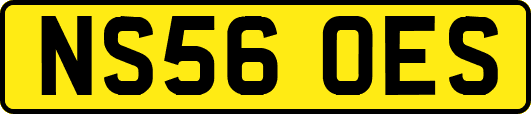 NS56OES
