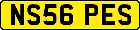 NS56PES