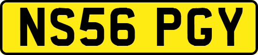 NS56PGY