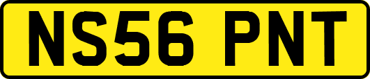 NS56PNT