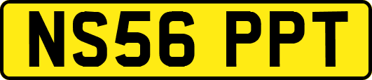 NS56PPT