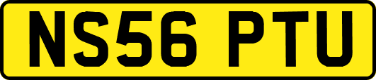 NS56PTU