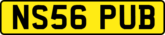 NS56PUB