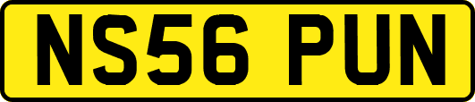 NS56PUN