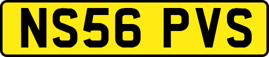 NS56PVS