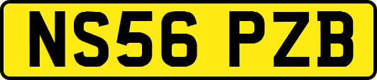 NS56PZB