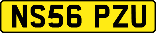 NS56PZU