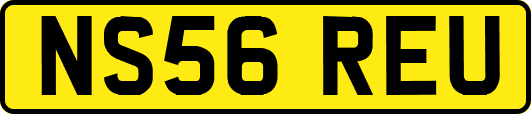 NS56REU