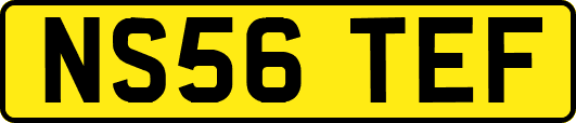 NS56TEF