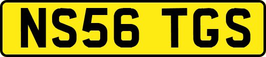 NS56TGS