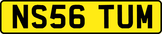 NS56TUM