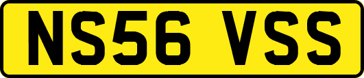 NS56VSS