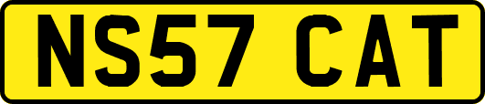 NS57CAT